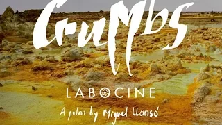 Crumbs Trailer