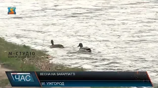 Яку погоду слід чекати на Закарпатті