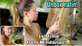 UNBOXING ANTHURIUM CRYSTAL HOPE  from MINDANAO | ROMA SO