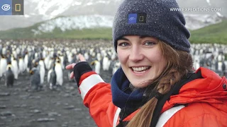 King Penguin Calls | South Georgia & the Falklands | Lindblad Expeditions-National Geographic