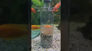 My favorite gravel cleaner for aquariums