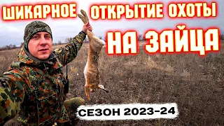 ОТКУДА СТОЛЬКО ЗАЙЦА?! Охота на зайца 2023-2024.Hare hunting.#охотаназайцапочернотропу #охотаназайца