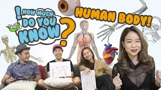 How Much Do You Know - Human Body