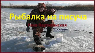 РЫБАЛКА ЗИМОЙ из подольда на САМОДУР. БЕШЕНЫЙ КЛЕВ.ПИСУЧ и, КОРЮШКА. Река ПАРТИЗАНСКАЯ.