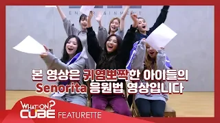 (여자)아이들((G)I-DLE) - 'Senorita' 응원법