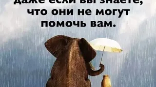 Любовь не приносит боли .......музыка mystic