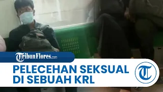 Viral Pelecehan Seksual Terjadi di KRL Jakarta-Bogor, Penumpang Teriak Histeris, Begini Nasib Pelaku