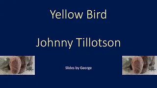 Johnny Tillotson   Yellow Bird  karaoke