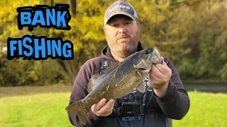 Bank Fishing for HUNGRY Fall Smallmouth Bass!!