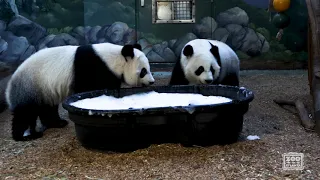 Ya Lun and Xi Lun check out bubble bath
