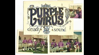 '' purple virus '' - law of the jungle 1967.