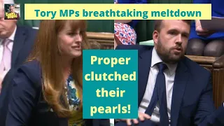 Tory MPs breathtaking meltdown, after being accused of corruption