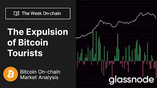 The Week Onchain: The Expulsion of Bitcoin Tourists - Week 27, 2022 (Bitcoin Onchain Analysis)