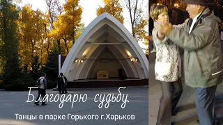 202. Благодарю судьбу. Танцы в парке Горького Харьков. Танцуем ретро танцы под танцевальную музыку.