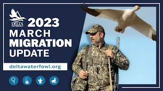 March 2023 Migration Update | Delta Waterfowl