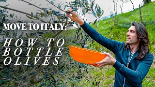 Trying to make Tuscany's best Export! MOVE TO ITALY EP21