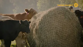 Round Bale Hay Net for Cattle