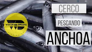 PESCA DE LA ANCHOA EN SANTOÑA