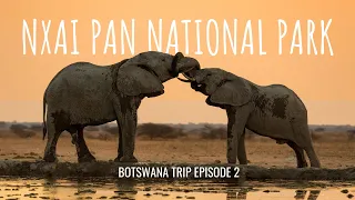 BOTSWANA TRIP Episode 2 | Magic around Nxai Pan National Park's waterhole!