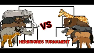 herbivores turnament animation—all animation