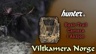 VILTKAMERA I AKSJON | Hunter Basic Trail Camera