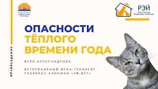 Опасности тёплого времени года