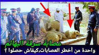 حلقة433,الفراقشية،واحدة من أخطر العصابات،داروا كوارث،كيفاش حصل،قضايا غامضة تم حلها،قصص واقعية،تحريات