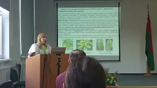 Молекулярно-биологическая характеристика представителей сем. Ericaceae (9/9)