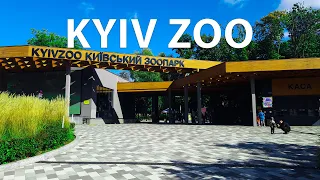 🦋 KYIV ZOO, Ukraine: Which animals live in the zoo /  Reporting from Ukraine. A virtual journey