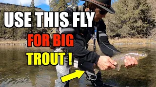 Crooked River Fly Fishing Trout- Tutorial on "The Fly" for Big Rainbow Trout