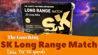 SK Long Range .22lr accuracy test 55 yards