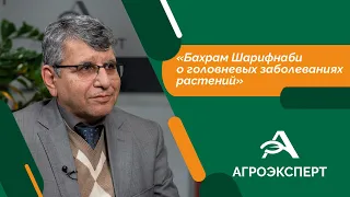 Агроэксперт - Бахрам Шарифнаби