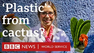 How to make biodegradable 'plastic' from cactus juice - BBC World Service, podcast