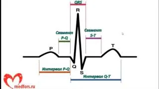 Урок 2. Видеокурс "ЭКГ под силу каждому".