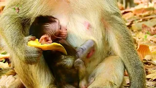 Look So Sweet BRIGHTEN getting milk on chest her mum BRIANNA