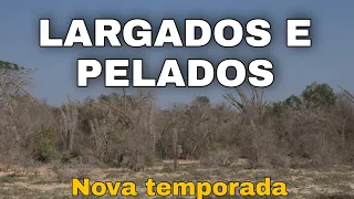 COMPLETO - LARGADOS E PELADOS 2023 6 NOVA TEMPORADA NA SELVA 2023