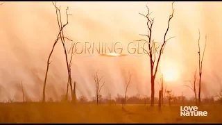 Morning Glory, E1 Zambia