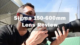 Sigma 150-600mm Contemporary Review by Billie Weiss