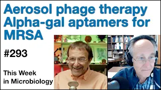 TWiM 293: Aerosol phage therapy, alpha-gal aptamers for MRSA