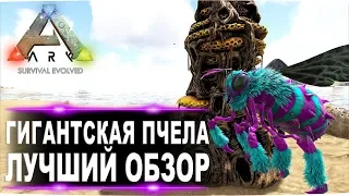 Гигантская пчела и мёд (Giant bee) в АРК. Лучший обзор приручение и способности  в ark.