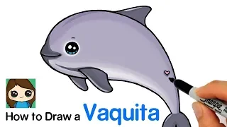 How to Draw a Vaquita Porpoise