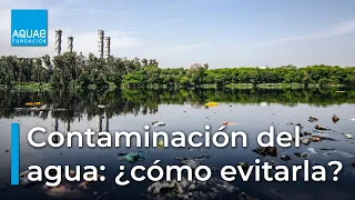 💧🌊¿Cómo REDUCIR la contaminación del AGUA?💧🌊