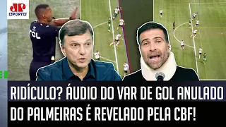 "ISSO É UM LIXO! UMA COISA GROTESCA!" ÁUDIO DO VAR do GOL ANULADO do Palmeiras PROVOCA DEBATE!