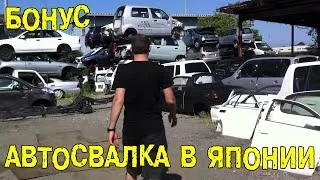 БОНУС: Автосвалка в Японии [BMIRussian]