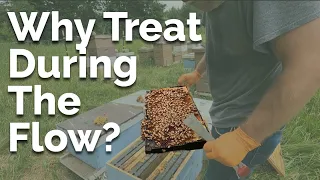 Treating The Last Of My Production Hives