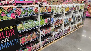 Walmart delivers with a huge selection of Summer 2024  bulbs, perennials & shrubs. (no talking)