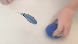 zuru robo alive little fish swimming