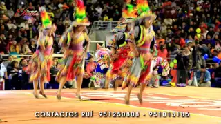 CONCURSO DE ELENCOS  ASOCIACION CULTURAL VIRGEN DE LAS MERCEDES TINKUS ACUVIDEN 2016 FULL HD