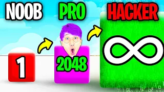 NOOB vs PRO vs HACKER In JELLY RUN 2048!? (MAX LEVEL 2048!)