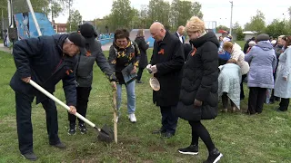 2024/05 – Берёзы – в память о братьях и сёстрах